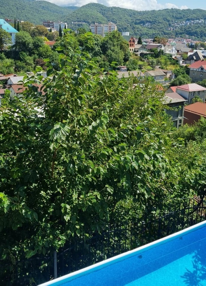 Бассейн с видом на горы