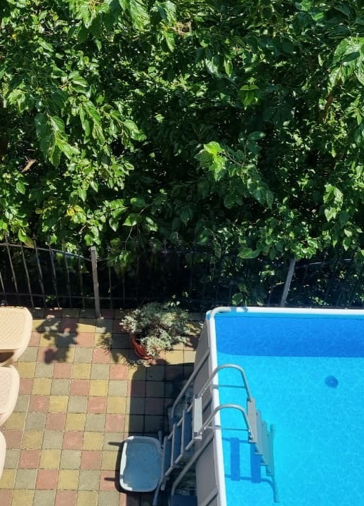 Бассейн с видом на горы