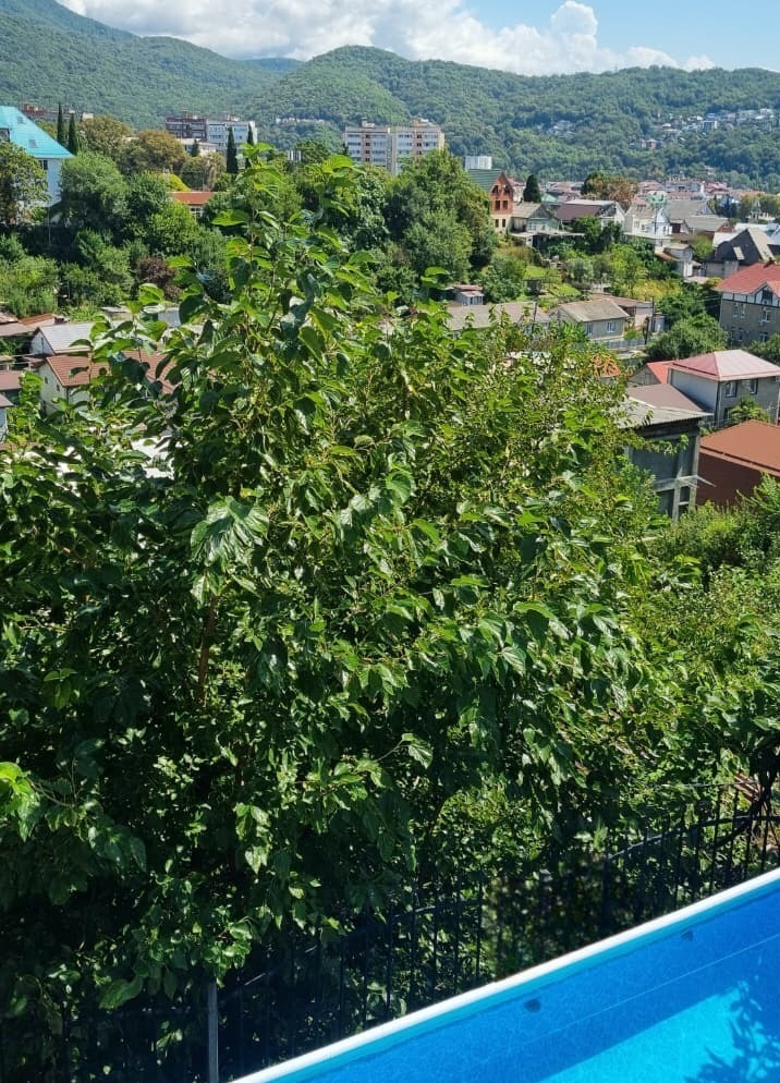 Бассейн с видом на горы